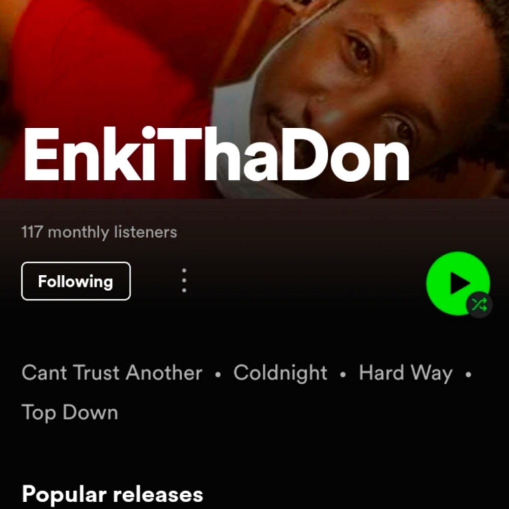 Music on Spotify Go Stream